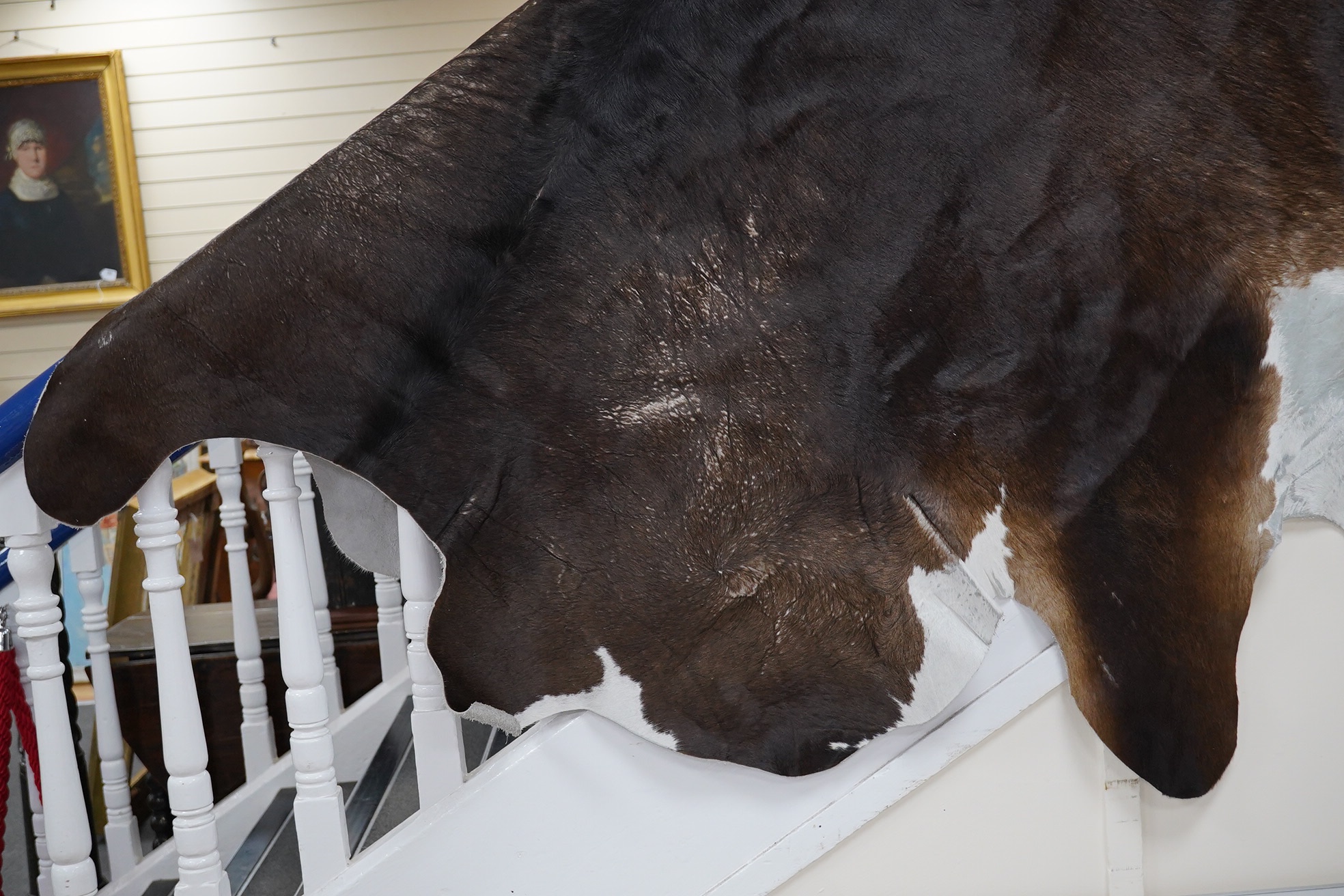 A brown and cream cowhide rug. Condition - fair, as per images